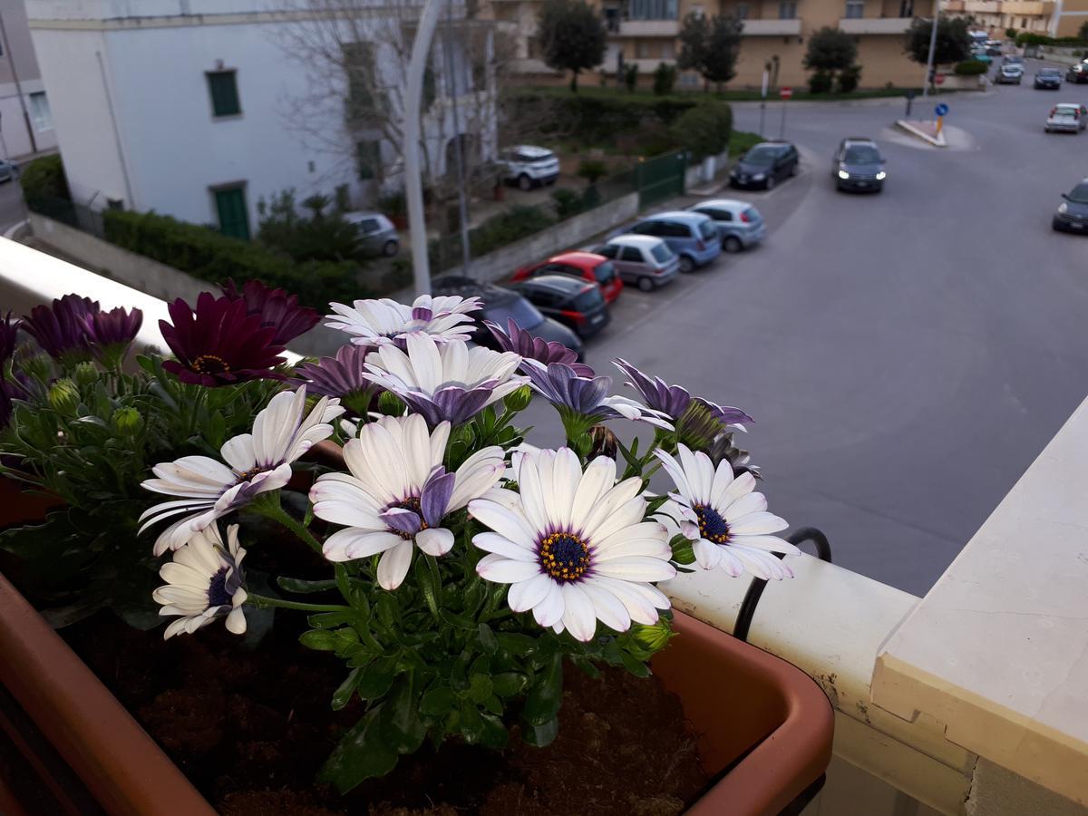 Rizzi Marianna B&B Monopoli Zewnętrze zdjęcie